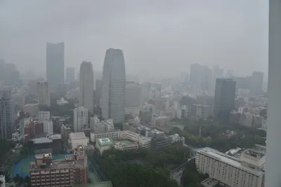 DSC_3244 (Large).JPG